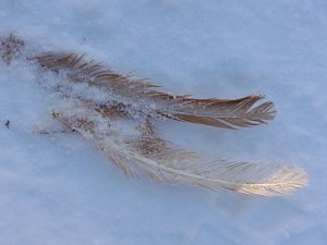 Winter auf der Ruine