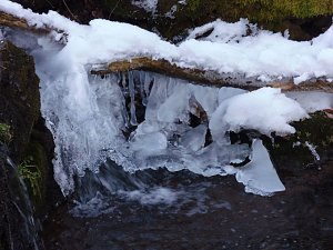 Winter auf der Ruine