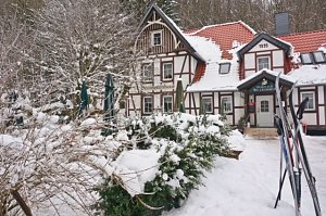 Taucher auf Winterwanderung