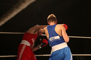 Grandiose Boxnacht in Nordhausen