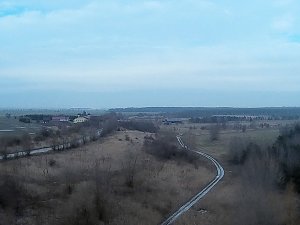 Wildgänse am Köckernsee