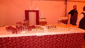 Rauschende Ballnacht in Sondershausen