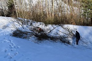 47. BUND-Einsatz im Schnee