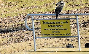 Sonnenbaden am Kiesschacht