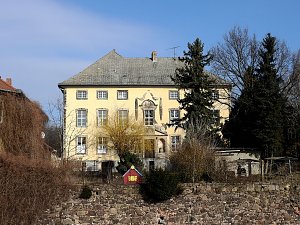 Winterlinge bei Schloss Ostrau