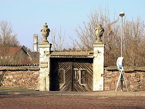 Winterlinge bei Schloss Ostrau