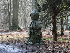 Winterlinge bei Schloss Ostrau