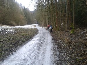 Im Hotspot der Artenvielfalt