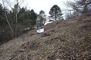 Im Hotspot der Artenvielfalt
