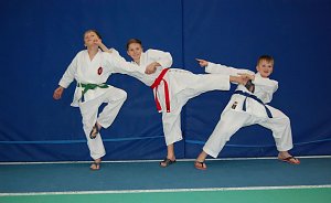 Pokale f&uuml;r Nordh&auml;user Karatekas