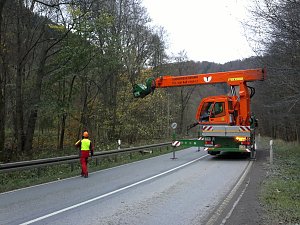 Holzeinschlag im Schuhmannstal