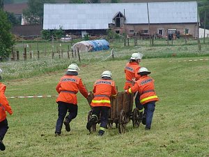 Fest in Neustadt