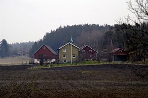 30.04.06: Schwedische Geh&ouml;fte bei Regen