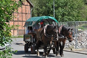 Hoffest Rüdingsdorfer Schweiz