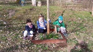 Fr&uuml;hling im Ahornpark