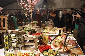 22. Nordth&uuml;ringer Fr&uuml;hlingsball