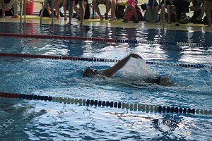 Erfolgreich auf allen Bahnen - die Nordhäuser Schwimmer in Wernigerode