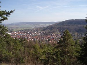 Der Stadtwald Bleicherode