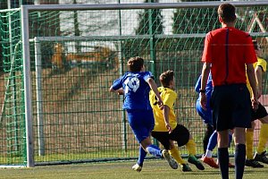 Halbfinale gewonnen
