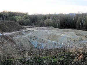 Die Natur erwacht am Rande der Stadt