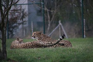 Besuch auf dem Possen
