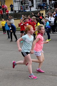 Fr&uuml;hjahrscrosslauf im Gehege