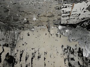 Ruinen in der Heide
