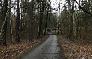Ruinen in der Heide