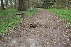 Mulmiges verwelktes Laub auf Spazierwegen. Arbeit f&uuml;r den Fr&uuml;hjahrsputz.