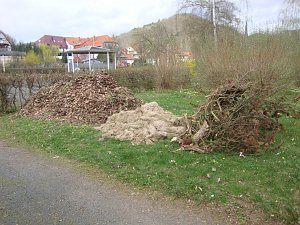 Aufr&auml;umen im Ilfelder Kurpark