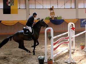 Hoffest in Wollersleben