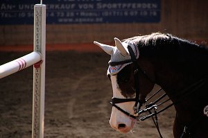 Hoffest in Wollersleben