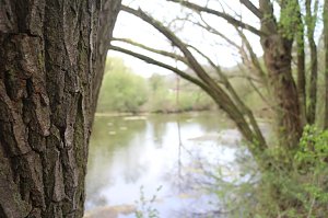 Expertise f&uuml;r die Salzaquelle - auf dem Naturlehrpfad erkl&auml;ren jetzt neun Tafeln die Quelle und ihre Umgebung