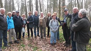 Wanderung zu den Märzenbechern