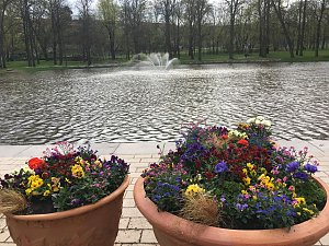 Auf Info-Tour in Apolda