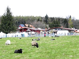 Lämmerfest auf der Ziegenalm Sophienhof