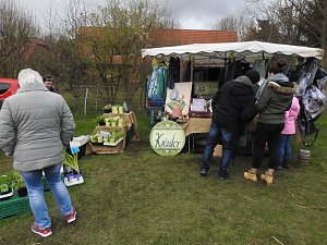 Lämmerfest auf der Ziegenalm Sophienhof
