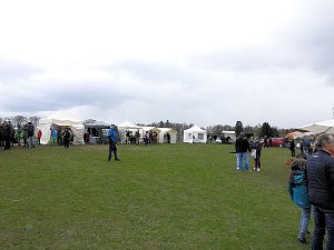 Lämmerfest auf der Ziegenalm Sophienhof