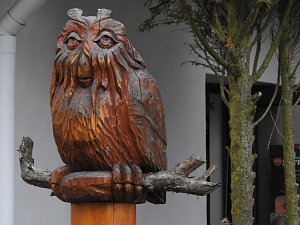 Lämmerfest auf der Ziegenalm Sophienhof