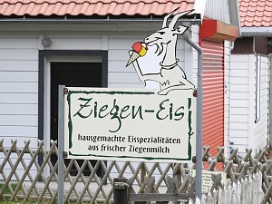 Lämmerfest auf der Ziegenalm Sophienhof