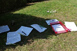Kita und Grundschule sind "Haus der kleinen Forscher"