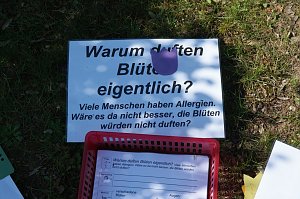 Kita und Grundschule sind "Haus der kleinen Forscher"