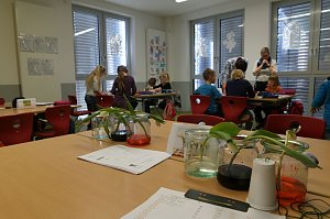 Kita und Grundschule sind "Haus der kleinen Forscher"