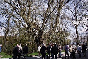 Landsenioren unterwegs im Eichsfeld