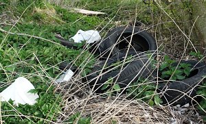 Illegale Entsorgung am Wanderweg