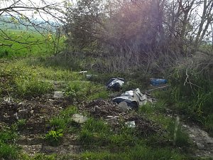 Illegale Entsorgung am Wanderweg