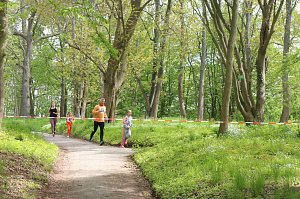 1. Heinrich-Siesmayer-Ged&auml;chtnislauf im Park Hohenrode