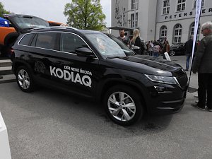Autofr&uuml;hling auf dem Petersberg