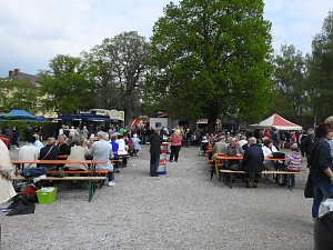 Autofr&uuml;hling auf dem Petersberg