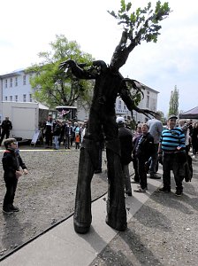 Autofr&uuml;hling auf dem Petersberg